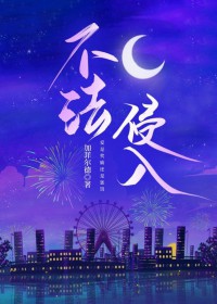 不法侵入游戏卡住