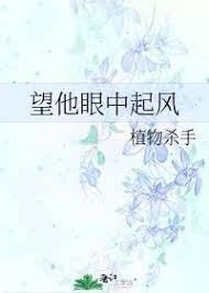 望他眼中起风TXT下载