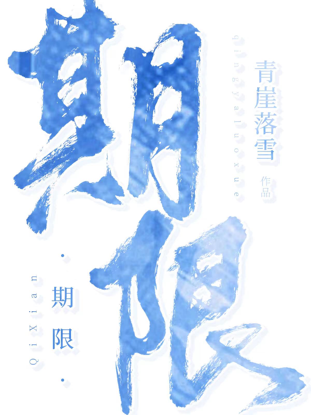 期限的解释