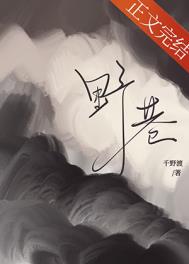 野巷讲了什么