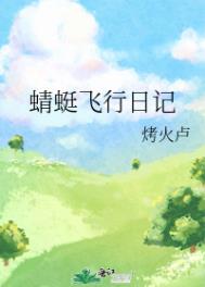 蜻蜓飞行日记内容