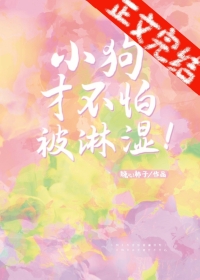 下雨天小狗不怕雨淋