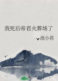 我死后帝君火葬场了池小苔笔趣阁