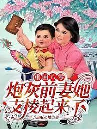 重生八零炮灰女主