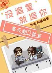 想追星就追呗