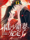 陆少甜宠替嫁娇妻全集