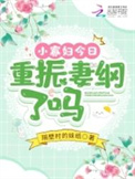 小寡妇的结局