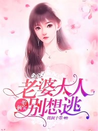 沈蔓歌叶南弦全部章节