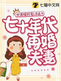 七十年代二婚妻 洲是