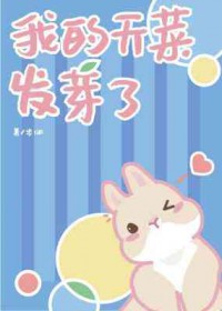我的天才女友那不勒斯四部曲