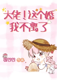 大佬这个婚我不离了年代笔趣阁
