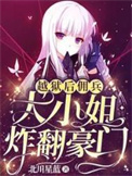 佣兵大小姐炸翻豪门小说下载