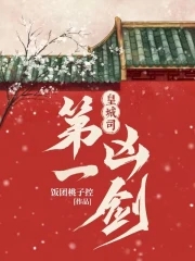 皇城司第一凶剑小说好看吗