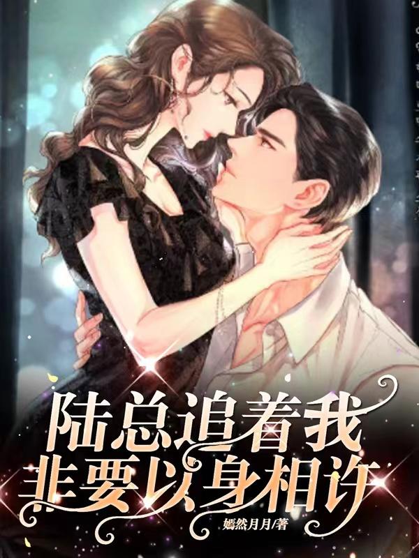 陆总偏要以身相娶