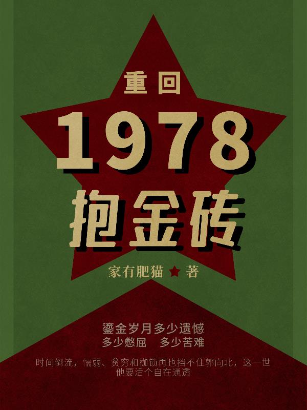 重回1978抱金砖小说