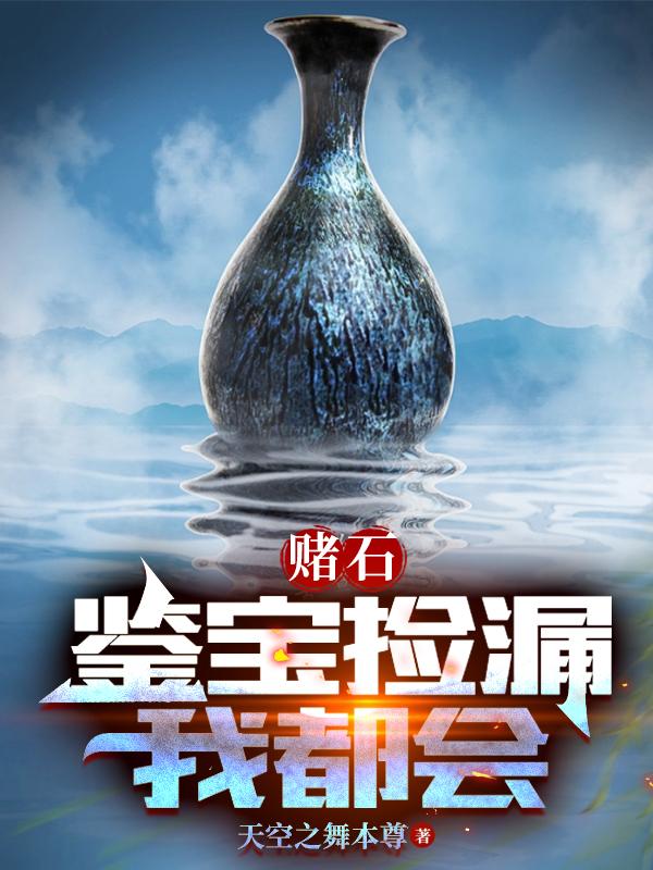 古玩捡漏赌石鉴宝小说
