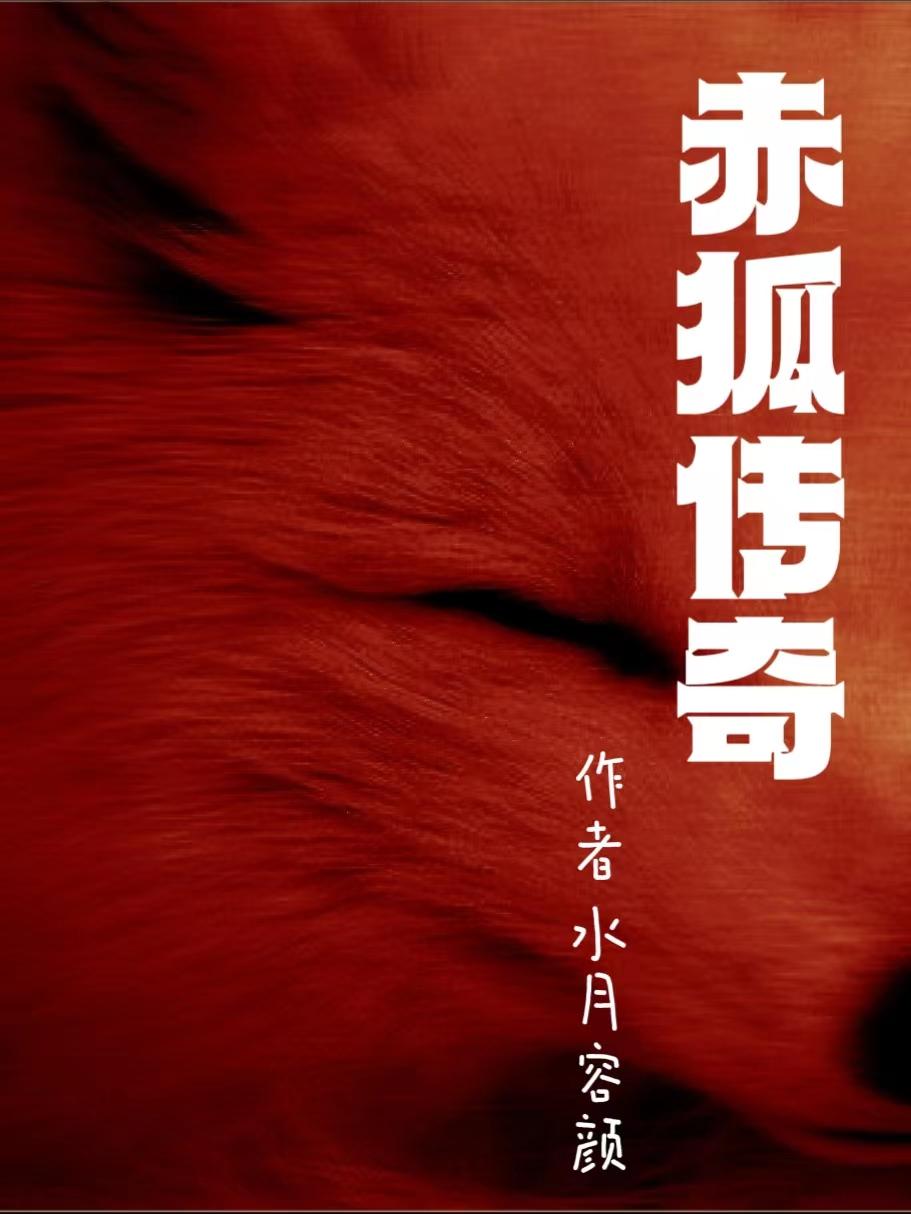 赤狐书生电视剧全部