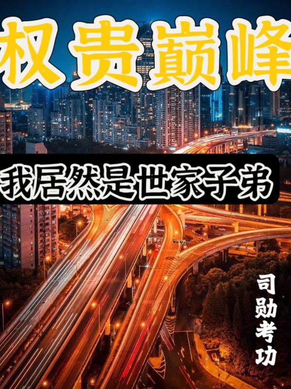 巅峰权贵小说