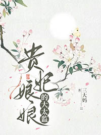 贵妃娘娘的奋斗日常