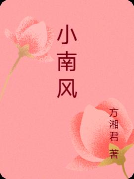 小南风下载