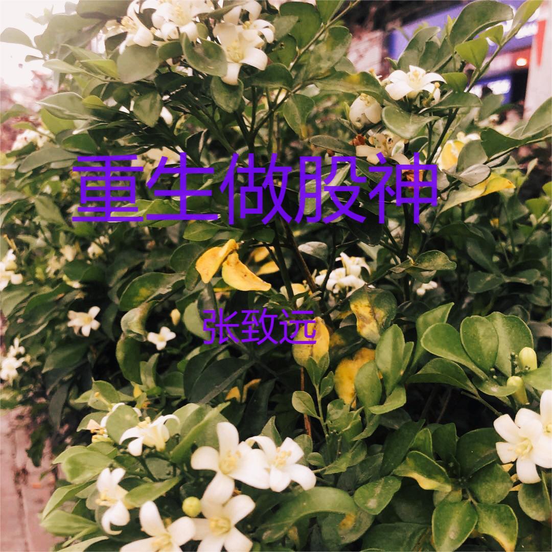 重生做军嫂小说