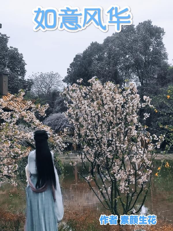 如意风改良旗袍薄款