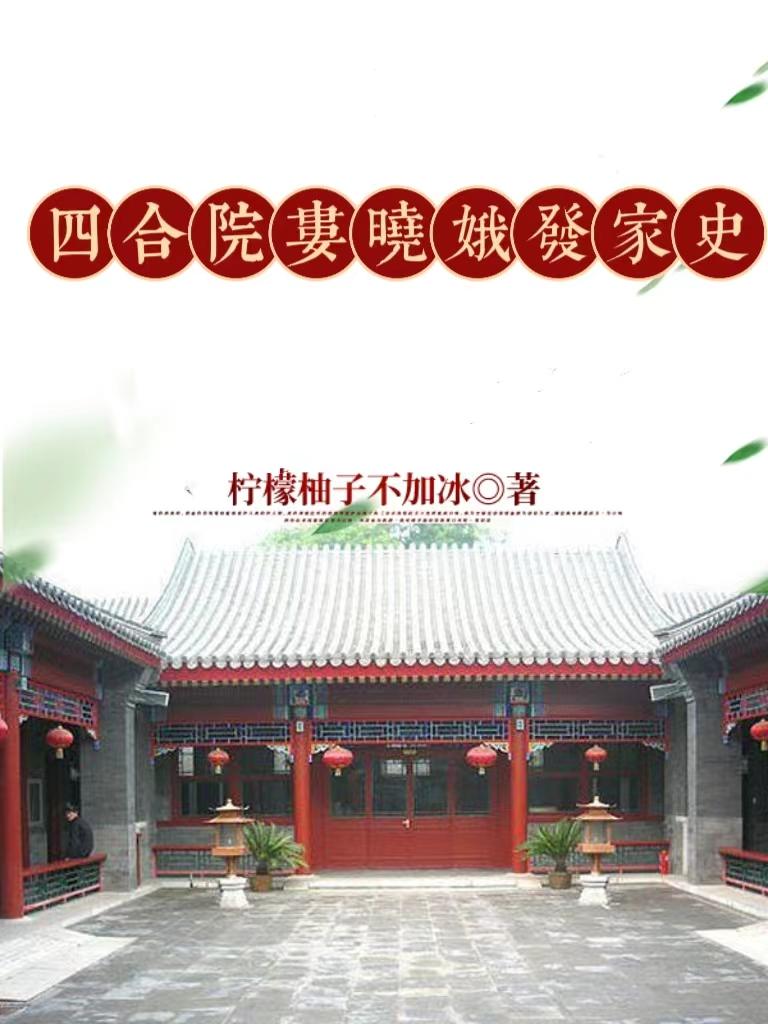 四合院娄晓娥生龙凤胎