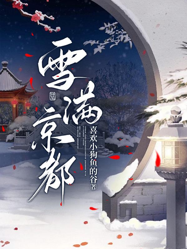 雪满京城