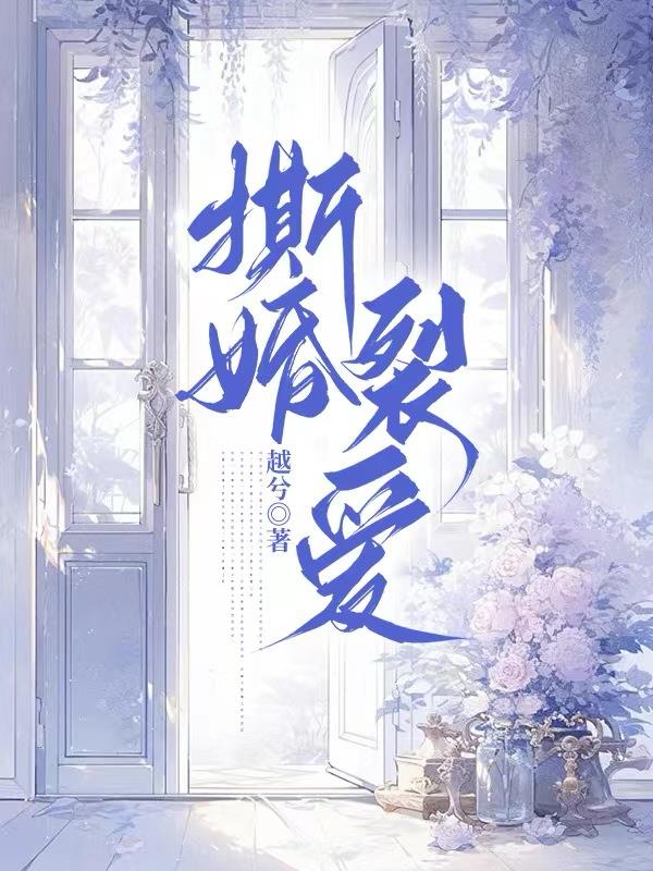 撕婚十年小说免费阅读