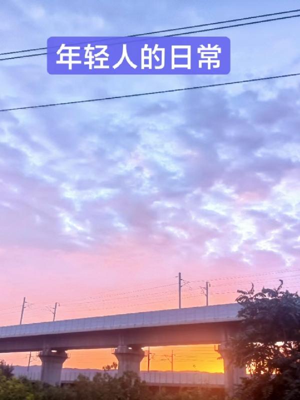 年轻人的视频