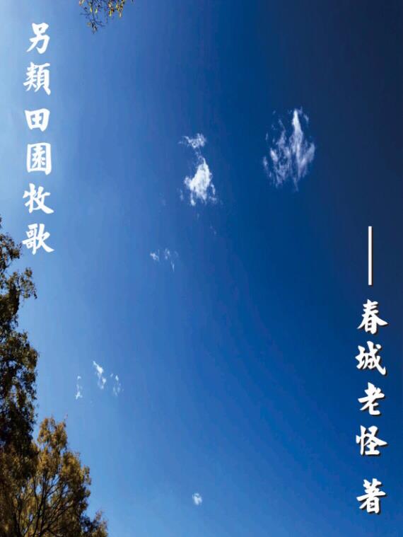 田园牧歌 口水楼市