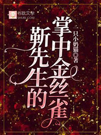 掌中金丝雀小说免费阅读