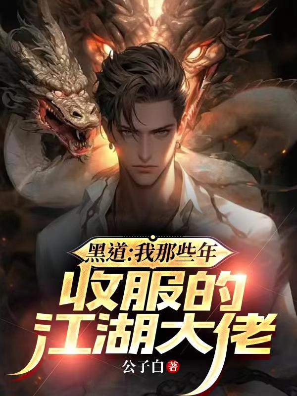 我混黑道的那些年小说