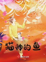 猫神的车多少钱