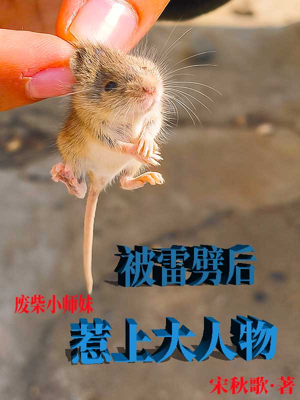 穿越小说之废物被雷劈