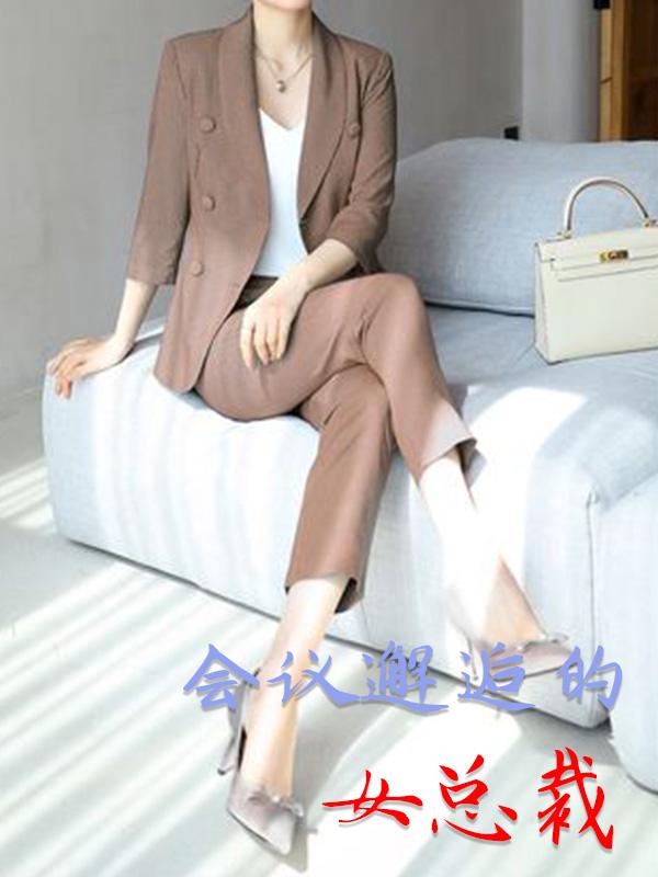 会议邂逅的女总裁小说