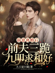揣崽离婚后大结局