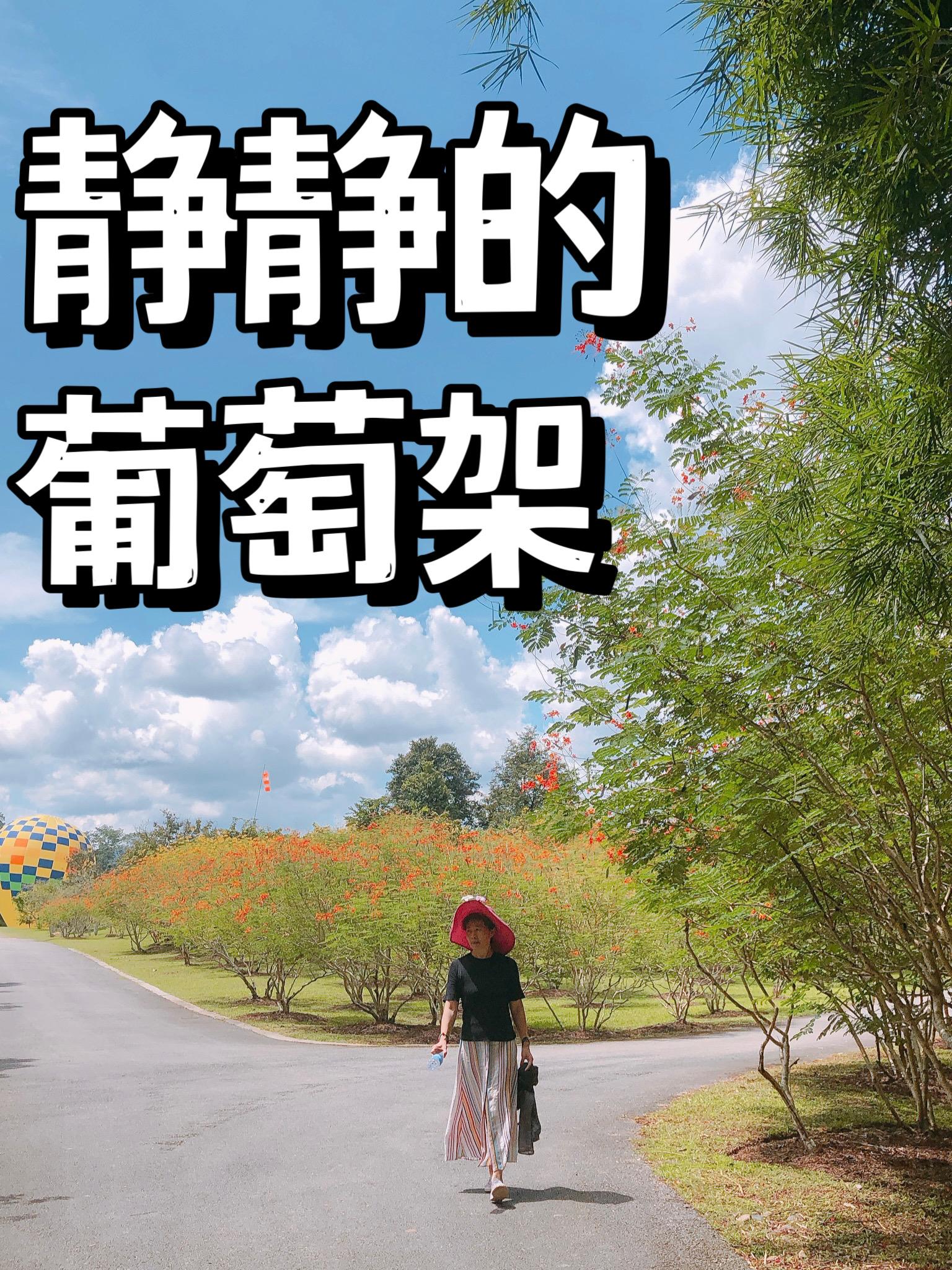 静静的顿河全文阅读