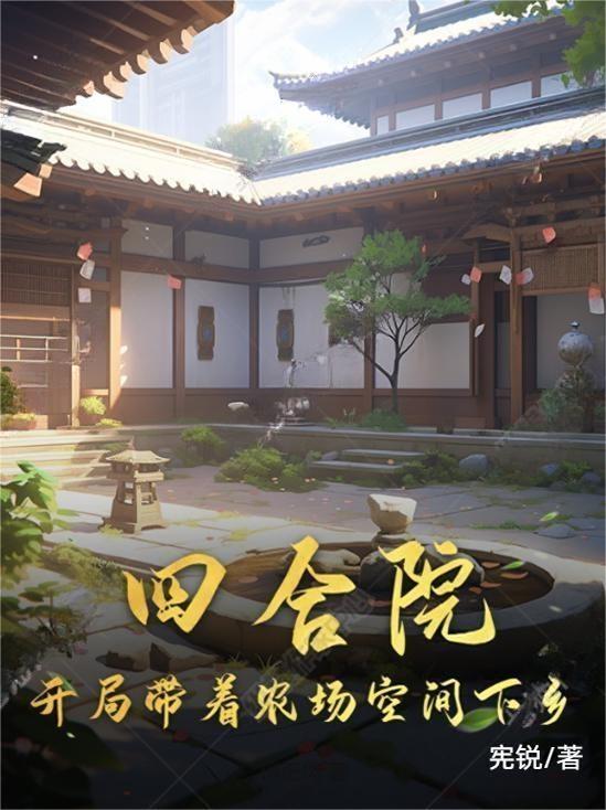 情满四合院开局下乡