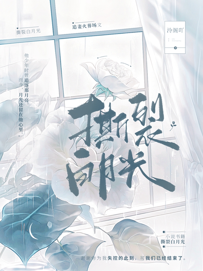 撕裂的暗影完整版