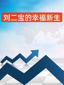 双胞胎刘二宝