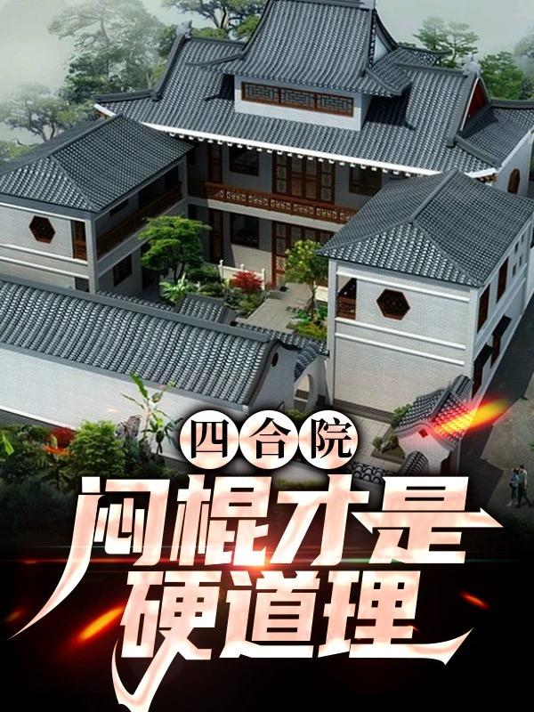 四合院开启闷棍术