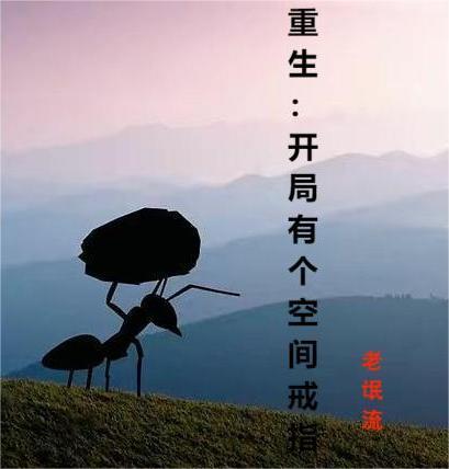 带着空间戒指重生的小说