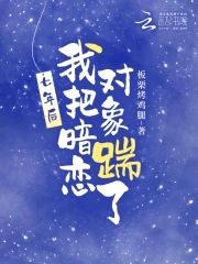 七年暗恋小说