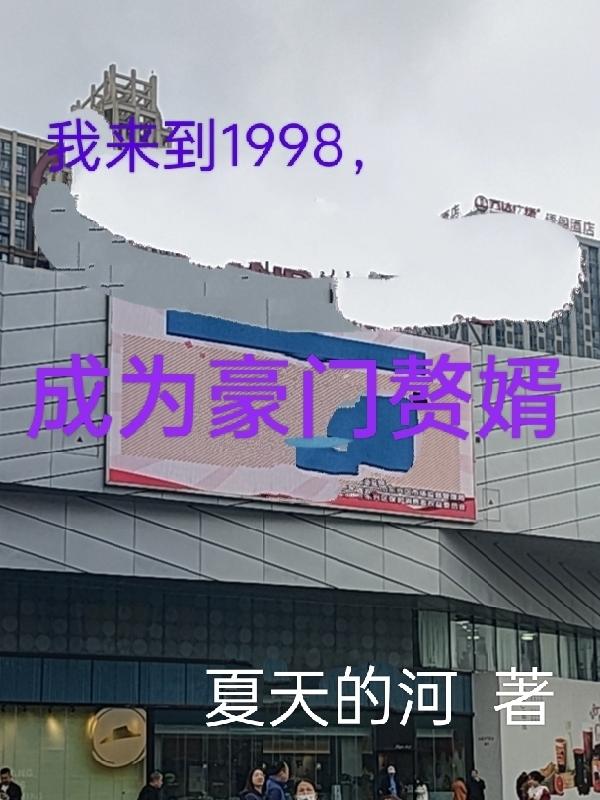 我当豪门赘婿小说