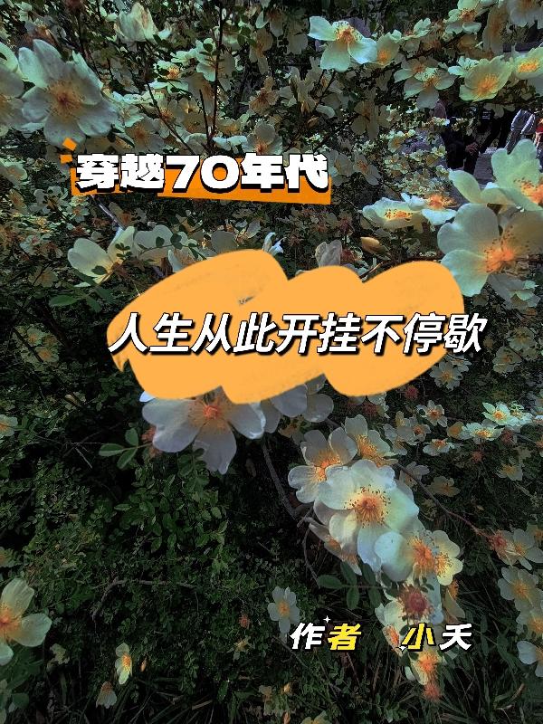 穿越七十年代之三生