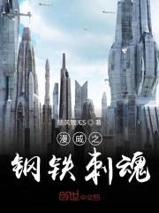 漫威之铁盾新篇 小说
