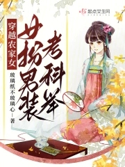 穿越之女扮男装考科举小说