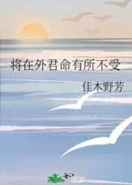 将在外，君命有所不受