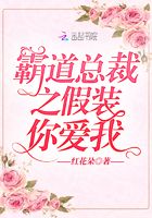 霸道总裁装傻的小说